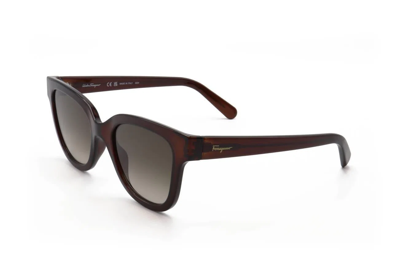 Ferragamo SF1066S Sunglasses - view 7